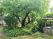 Index image