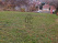 Index image