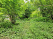 Index image