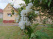Index image