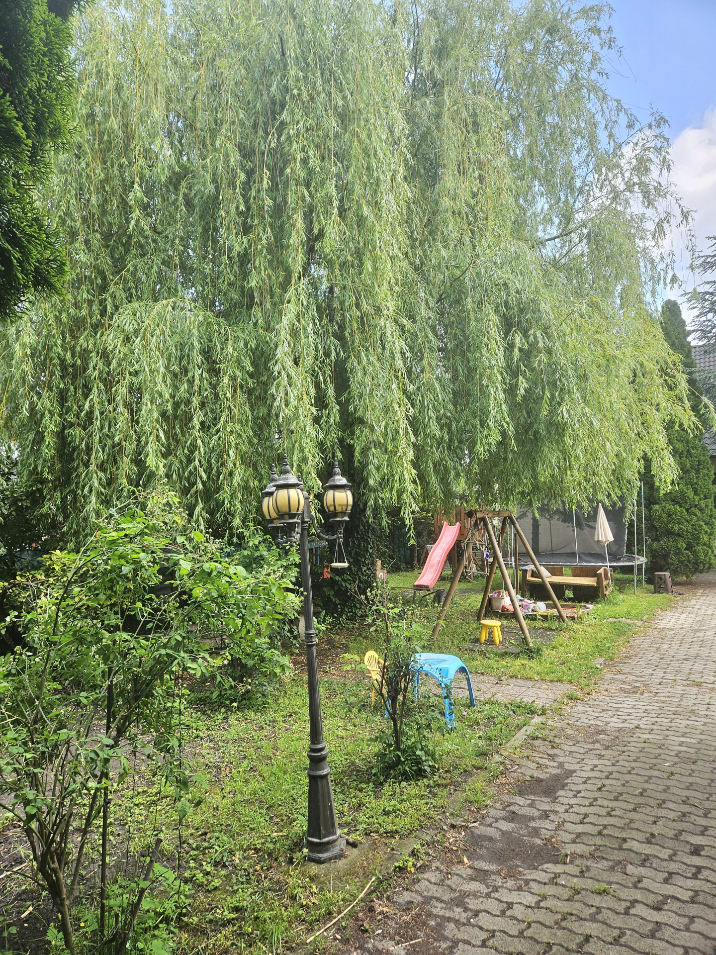 Gallery zoom image