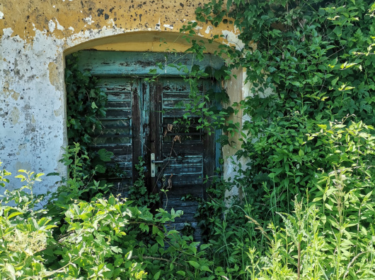 Index image