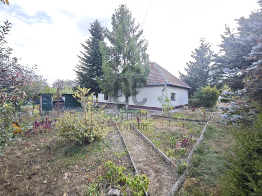 Index image
