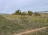Index image