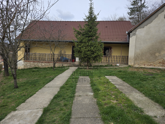 Index image