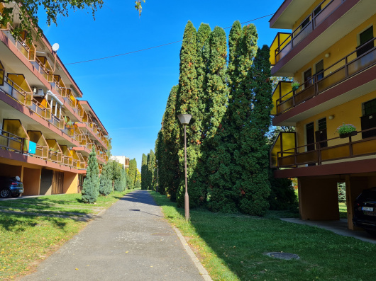 Index image