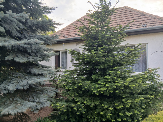 Index image