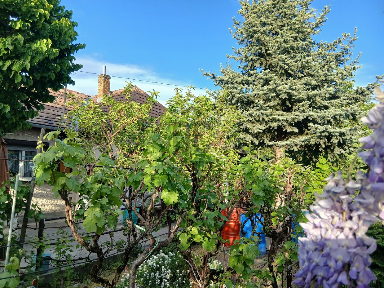 Gallery zoom image