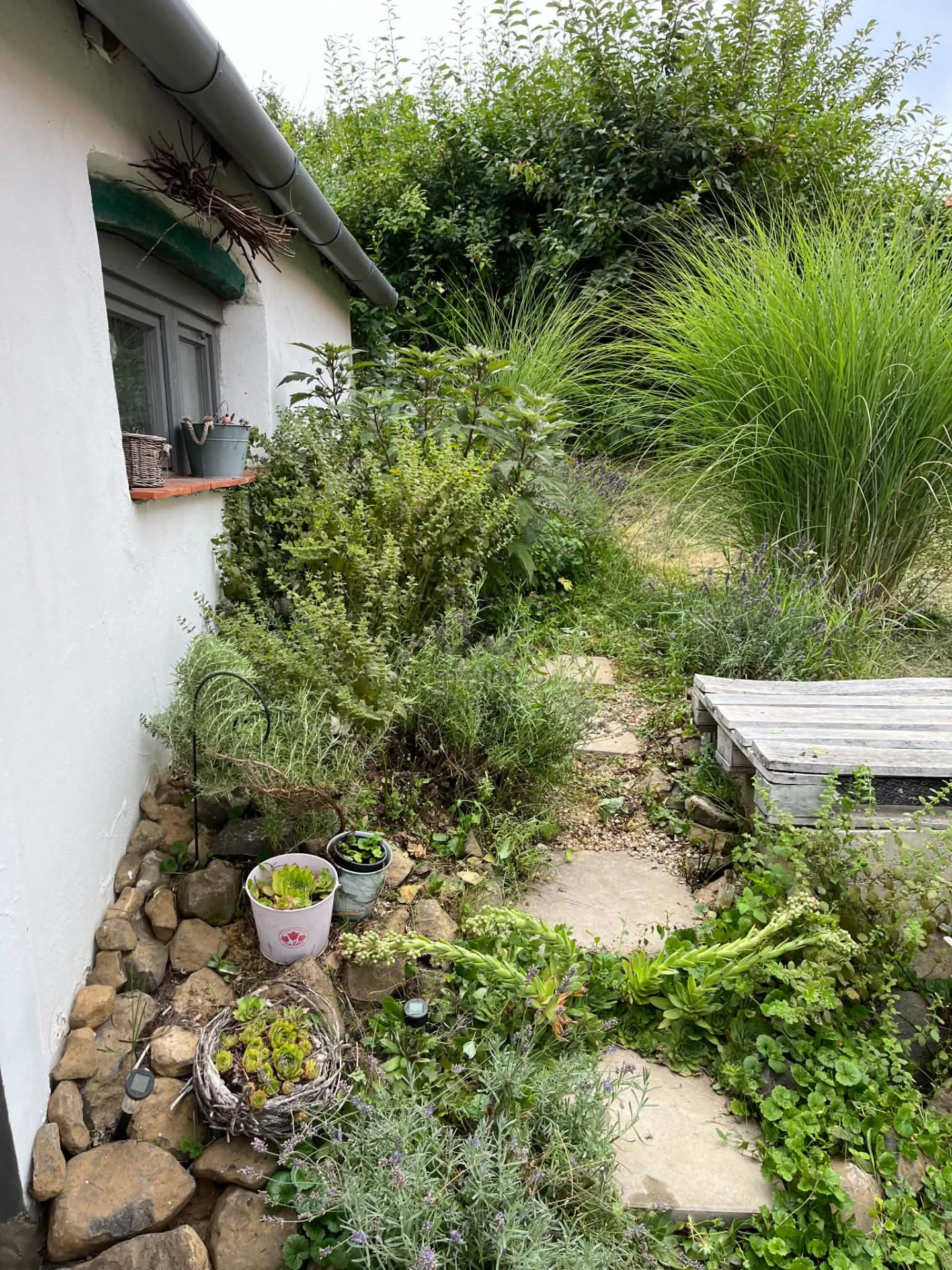 Gallery zoom image