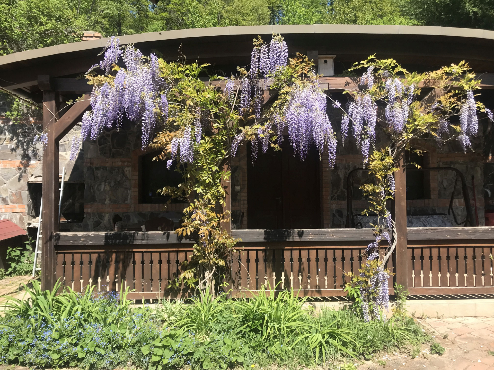 Gallery zoom image