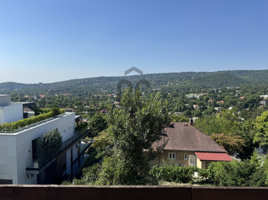 Index image