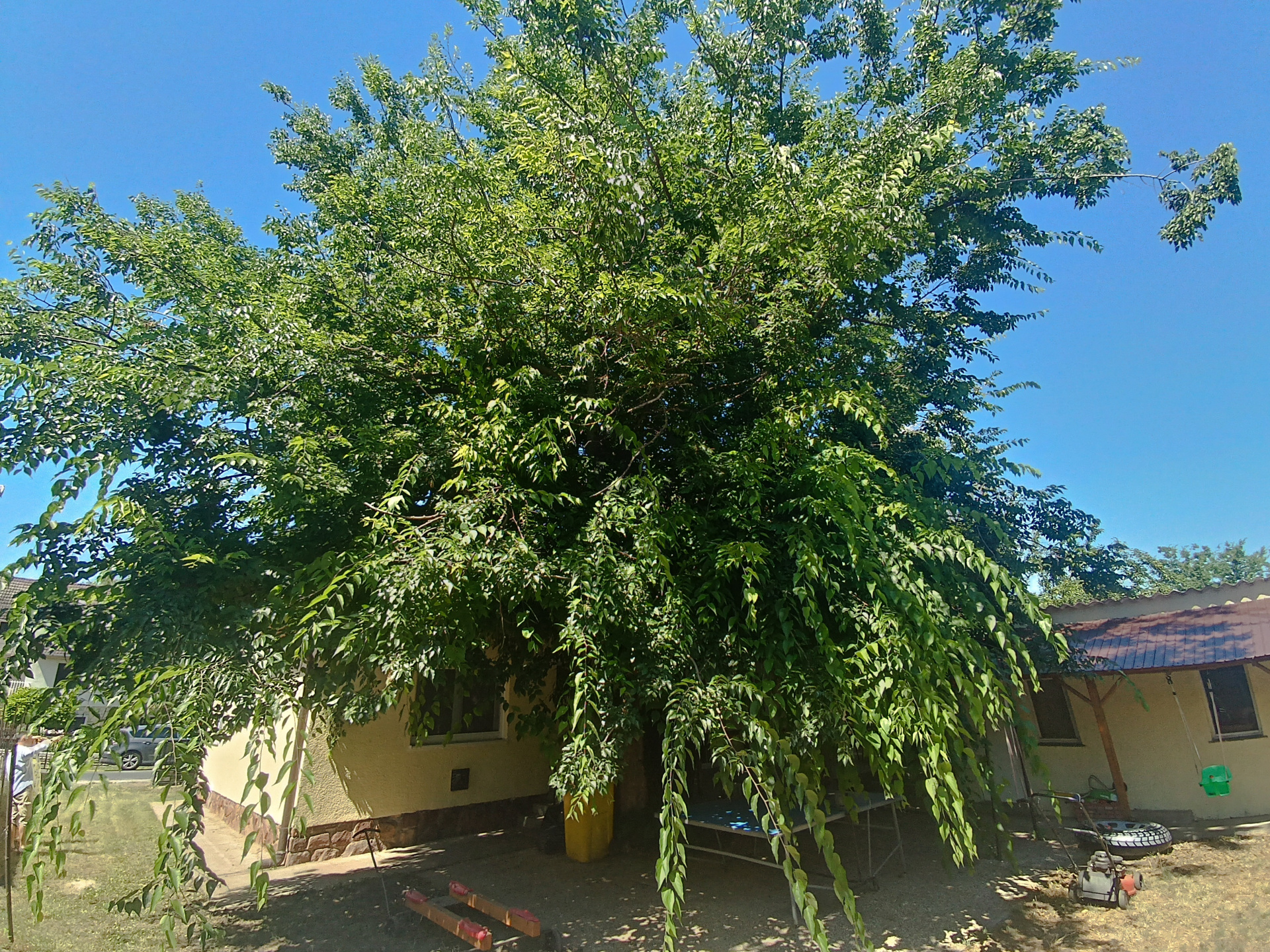 Gallery zoom image