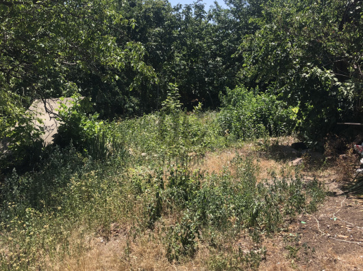 Index image
