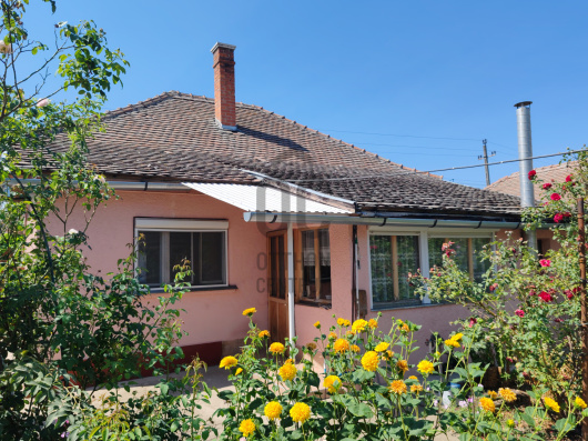 Index image
