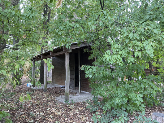Index image